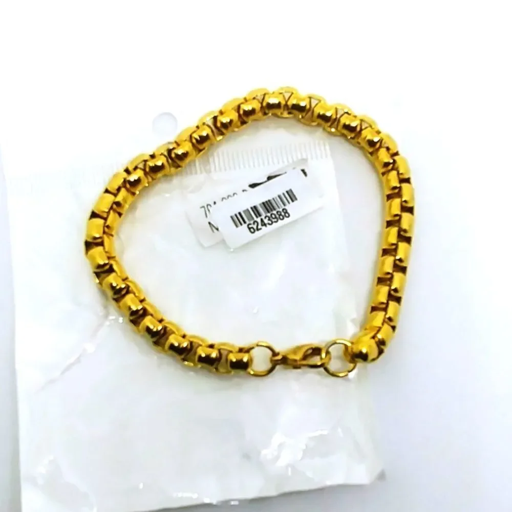 Box Chain Bracelet in ION Plated YG Stainless Steel  (8.00 In)